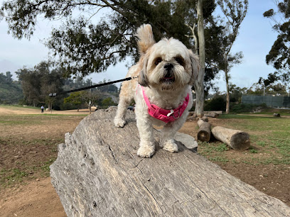 Veterinaria Dr. Mario De Leon