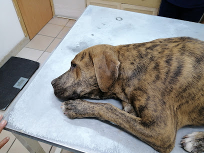 Veterinaria Puerto de Palos