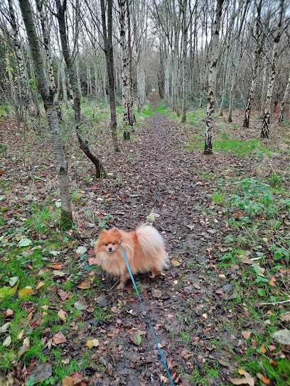 Greenways Home Dog Boarding and Grooming