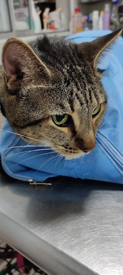 Veterinaria Serinvet - Servicios Integrales Veterinarios Juárez