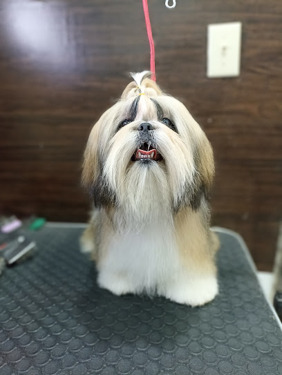 The Barber Dog Ciudad Juárez