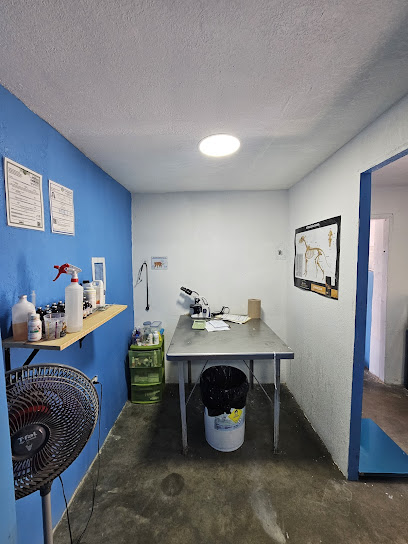 VETERINARIA PATA-TOÑO