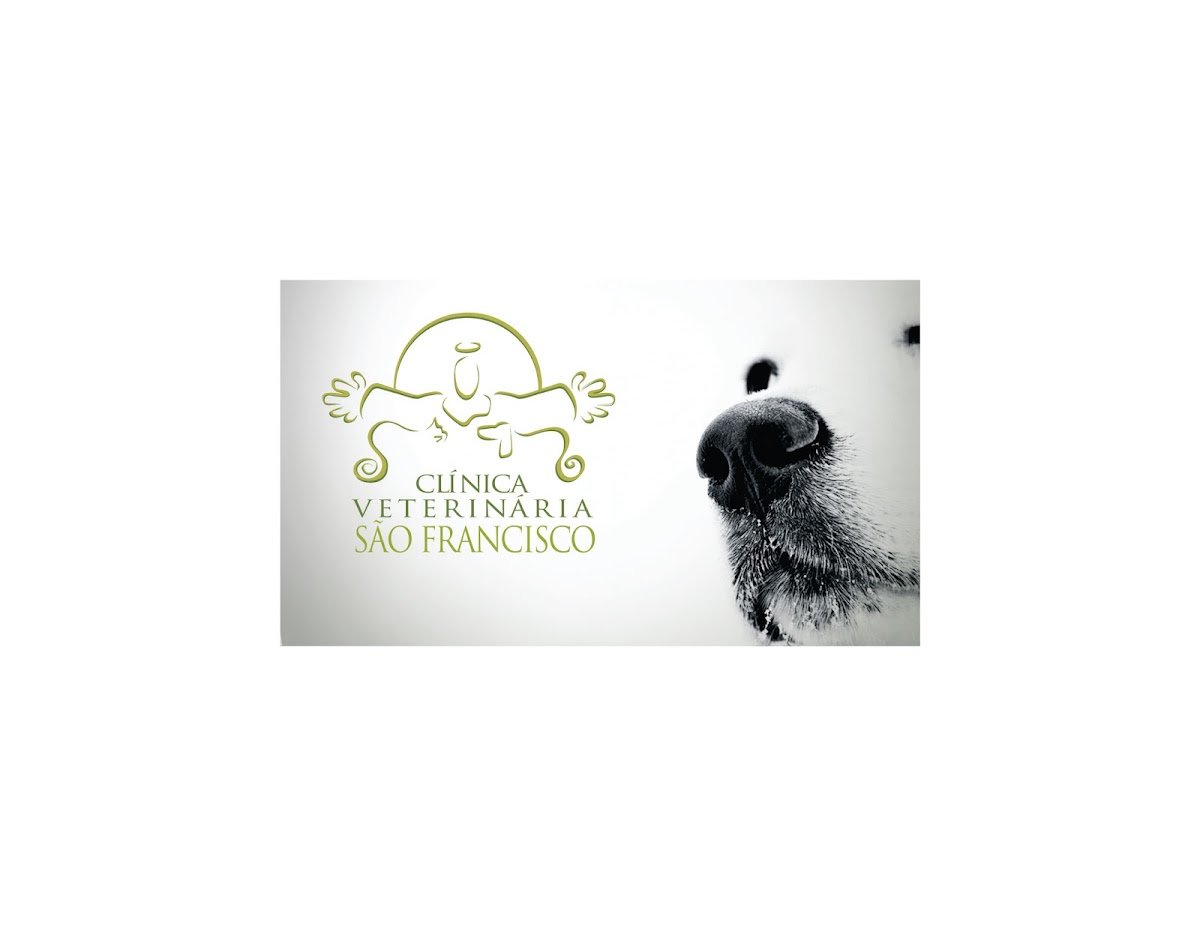 Clínica Veterinária São Francisco