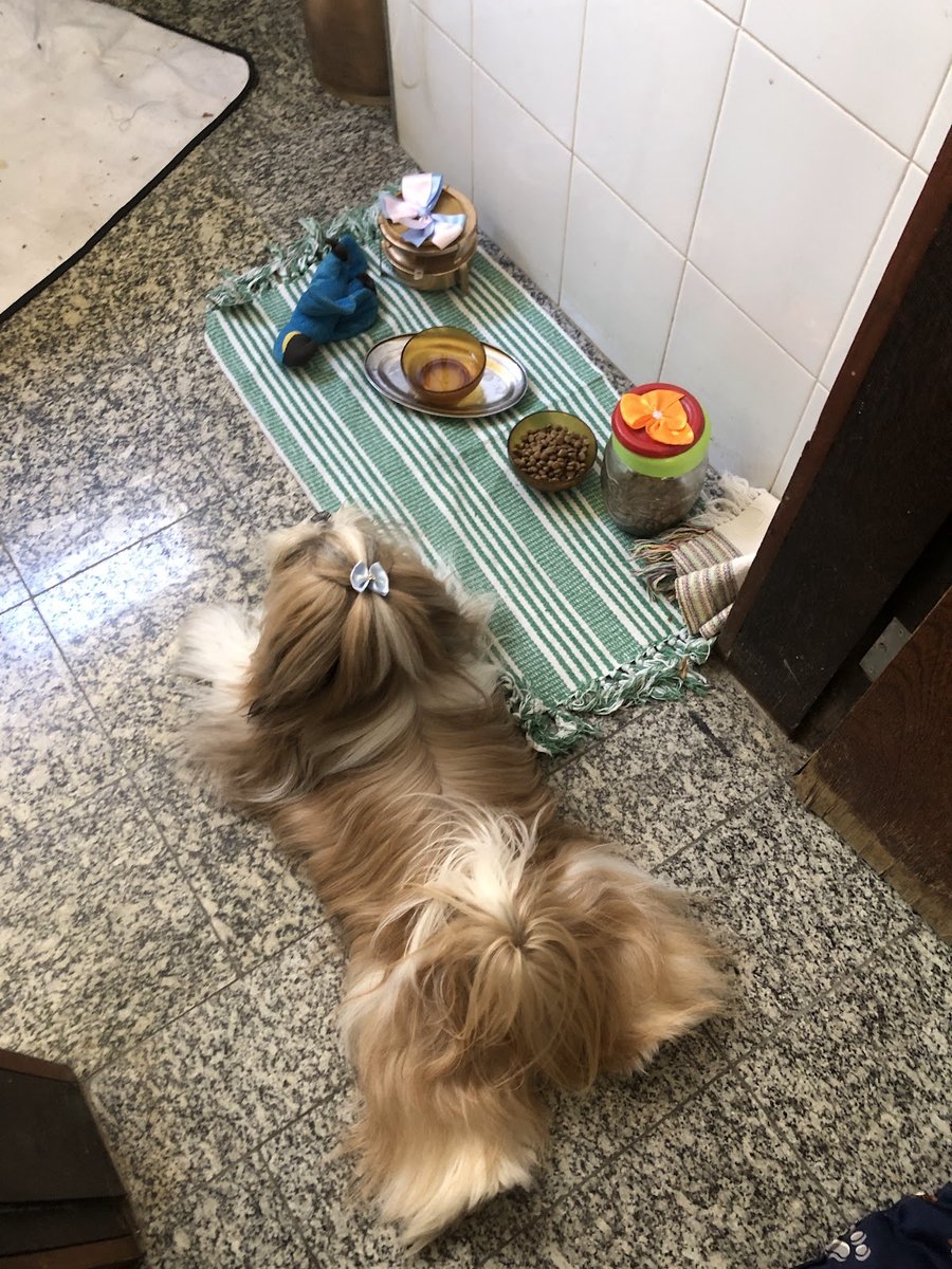 Animalle Clínica Veterinária