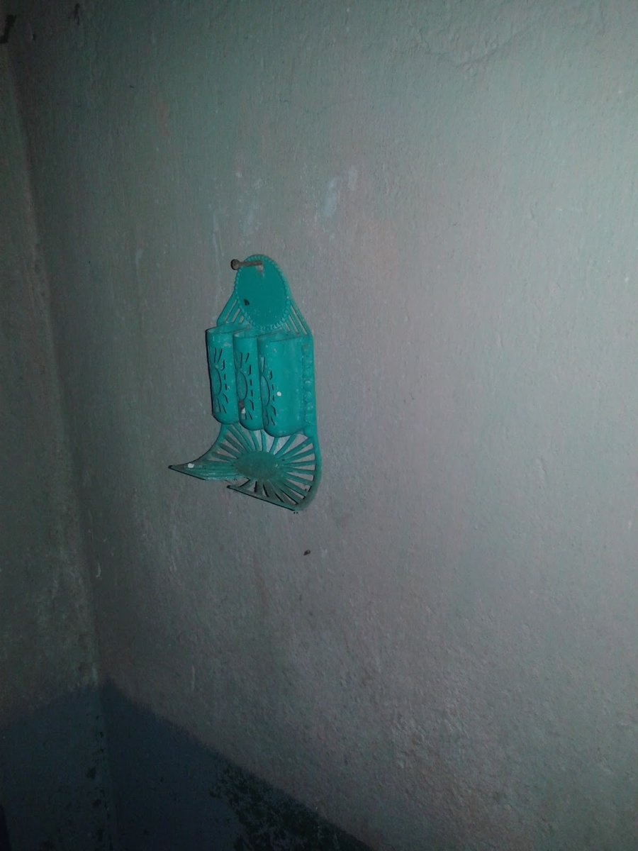 Veterinária Maristela