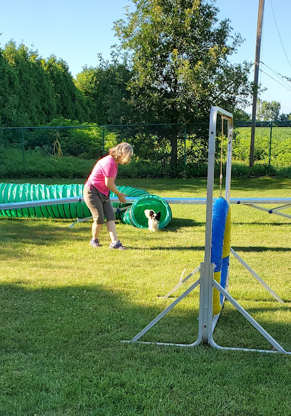 ClassPup Animal Training and Behaviour