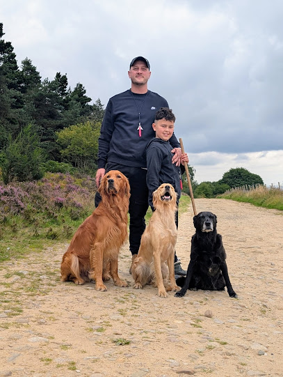 K9S Dog Training Academy