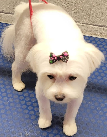 Dawg U Fine Grooming