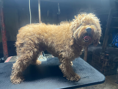 Headtotailstylingsalon