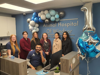 Animal Hospital of Windsor