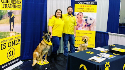 Tip Top K9 Troy Dog Training