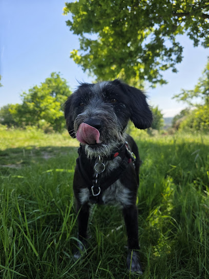 Laura's Pet Services