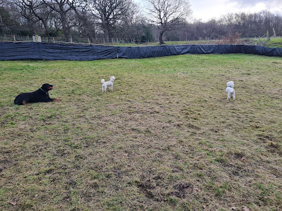 Rivelin Valley Dog Park