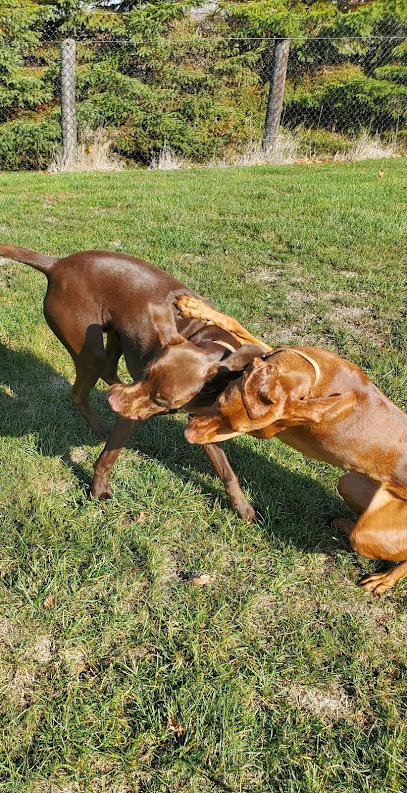 Countryside Kennels - Amherstburg