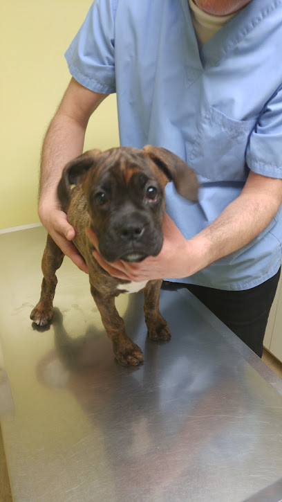 Talbot Street Animal Hospital