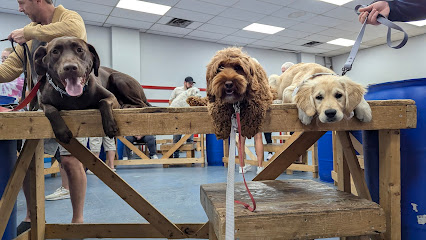 Essex County K9 Services