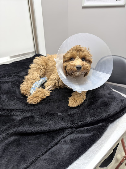 Lauzon Veterinary Hospital