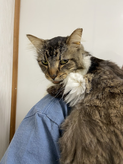 Francis Animal Hospital