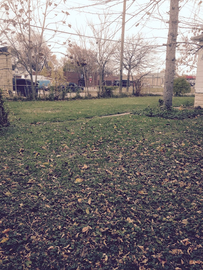 Tonya's Dog Boarding