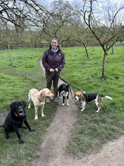 Paws Up Dog Training