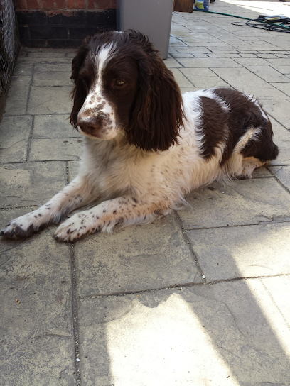 Walkies of Long Eaton