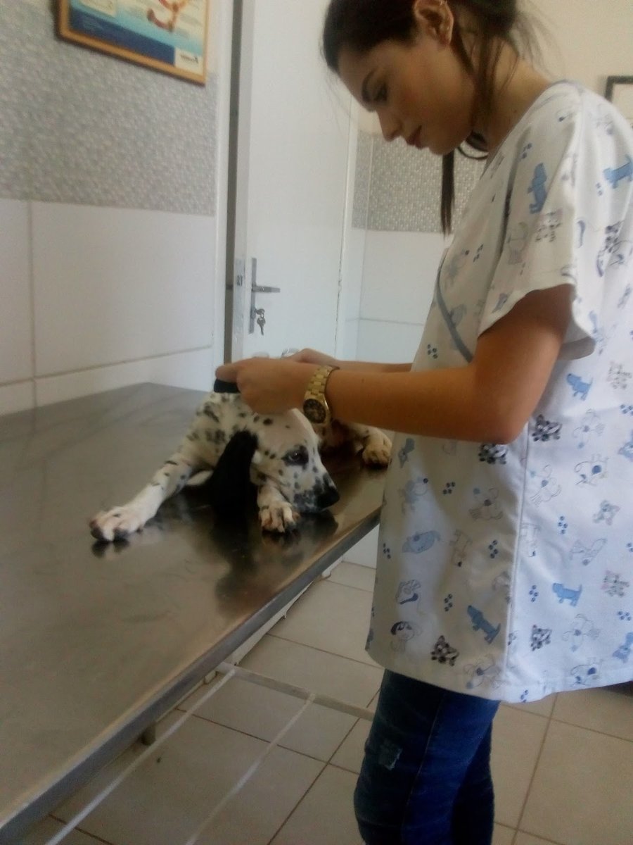 Veterinária da Barra