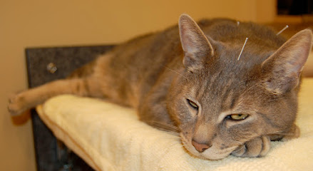 Two Rivers Veterinary Clinic