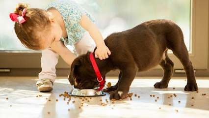 Leicestershire Dogs re-homing services