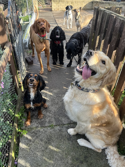 Minezara Home Boarding Services