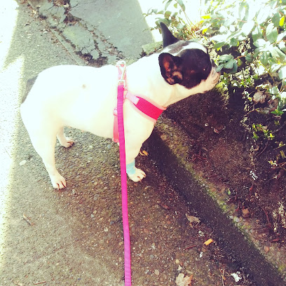 Hawthorn Veterinary Care (formerly Hawthorne Veterinary Clinic)