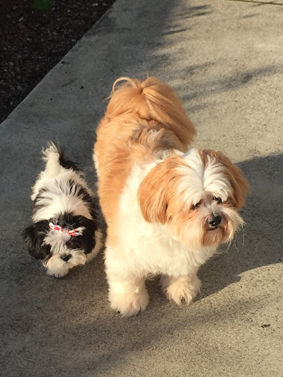 Happy Tails to You Kennel, LLC