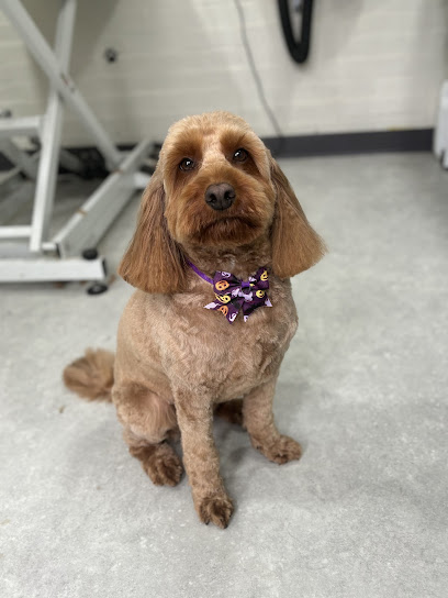 Katie’s Klipper’s