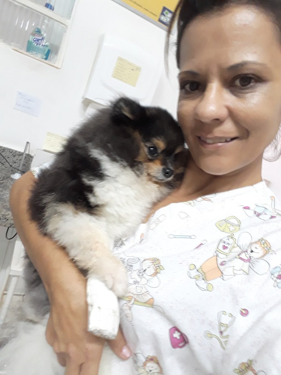 Companhia dos Bichos