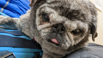 North Portland Veterinary Hospital: Fletcher Chris DVM