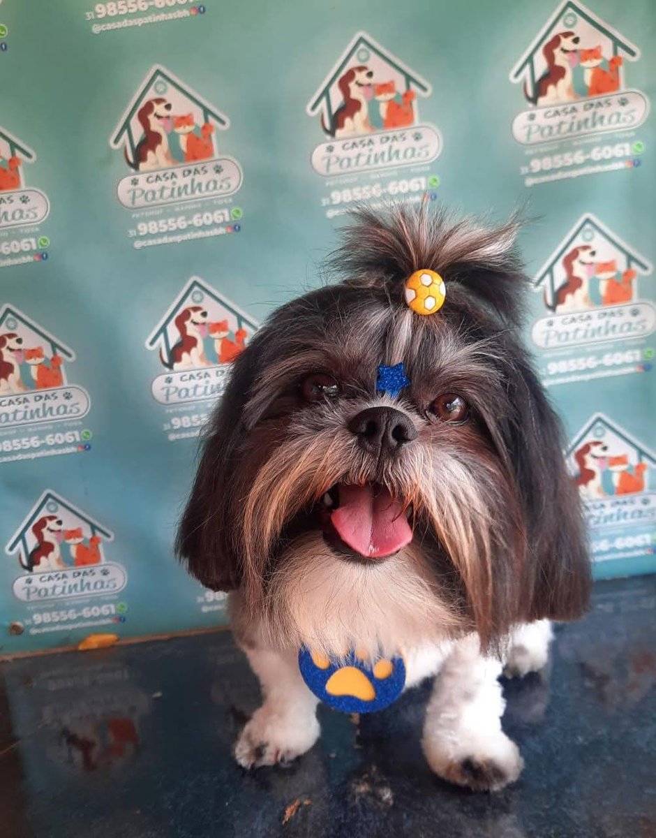 Patinhas Felizes Pet Shop