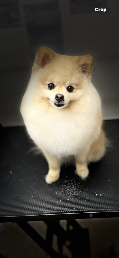 Furr-ever Fabulous by Liv