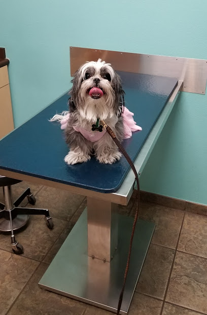 Eye Care for Animals - Las Vegas