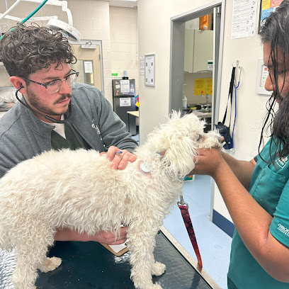 Veterinary Opportunities for Students | V.O.S