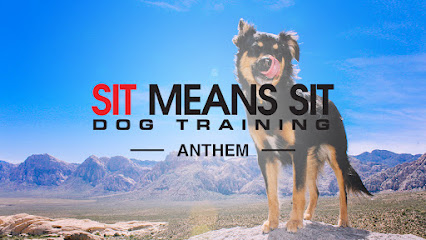 Sit Means Sit Dog Training Henderson