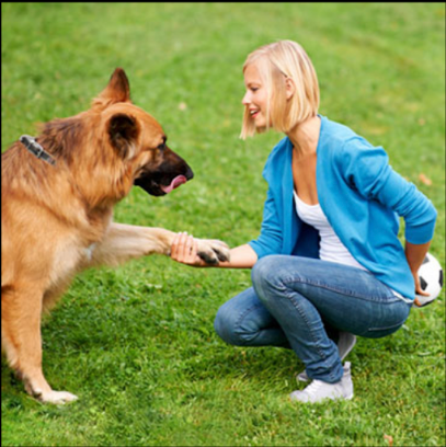 Karma Dog Training Nevada