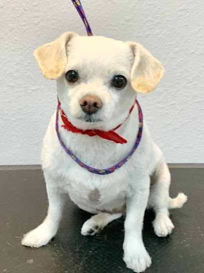 Warm Springs Grooming