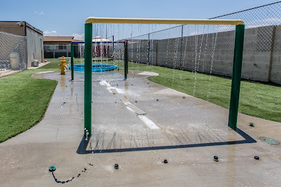 Just Like Home Doggie Hotel and Grooming