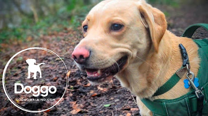 Doggo Walking Aberdare & Mountain Ash