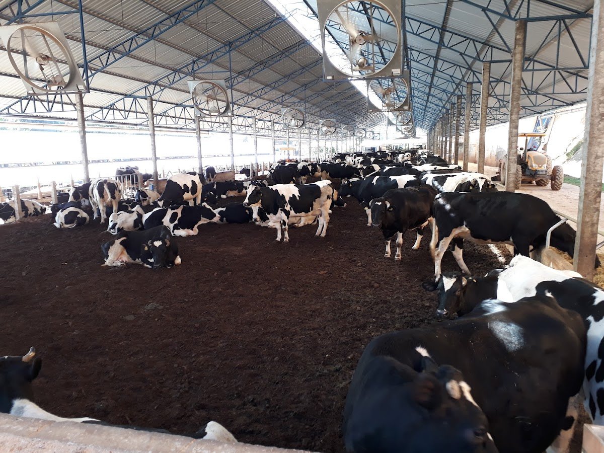 consulte tecnologia de embrioes