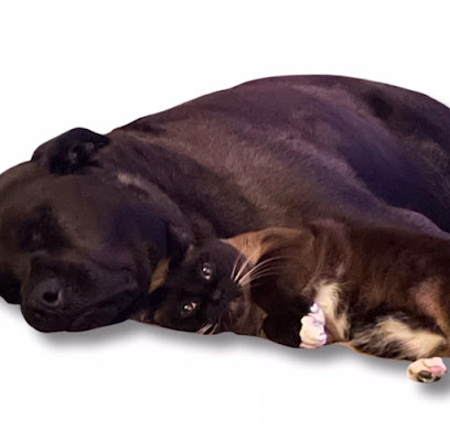 Nancy's Pet Care Service