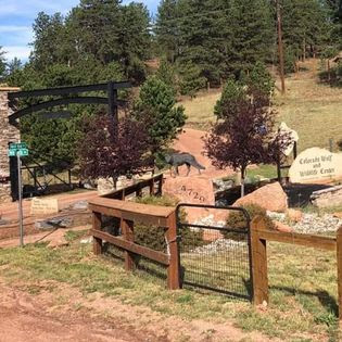 By Your Side Pet Services