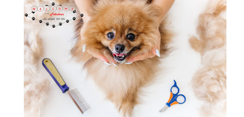 Las Vegas Pet Spa