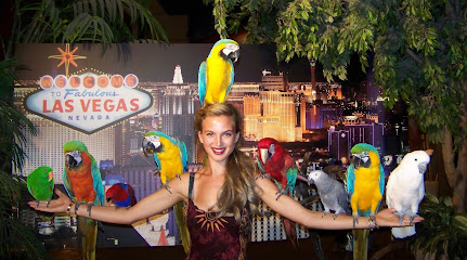 TOP BIRD PARROT RESCUE & REHABILITATION