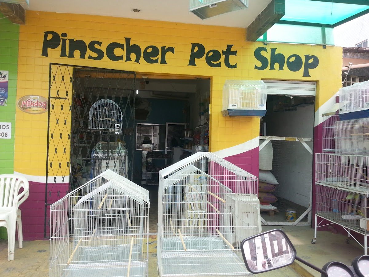 Pischer Pet Shop Beto