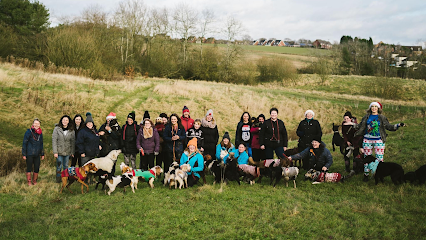 Knine Camp Dog Walking & Pet Sitting